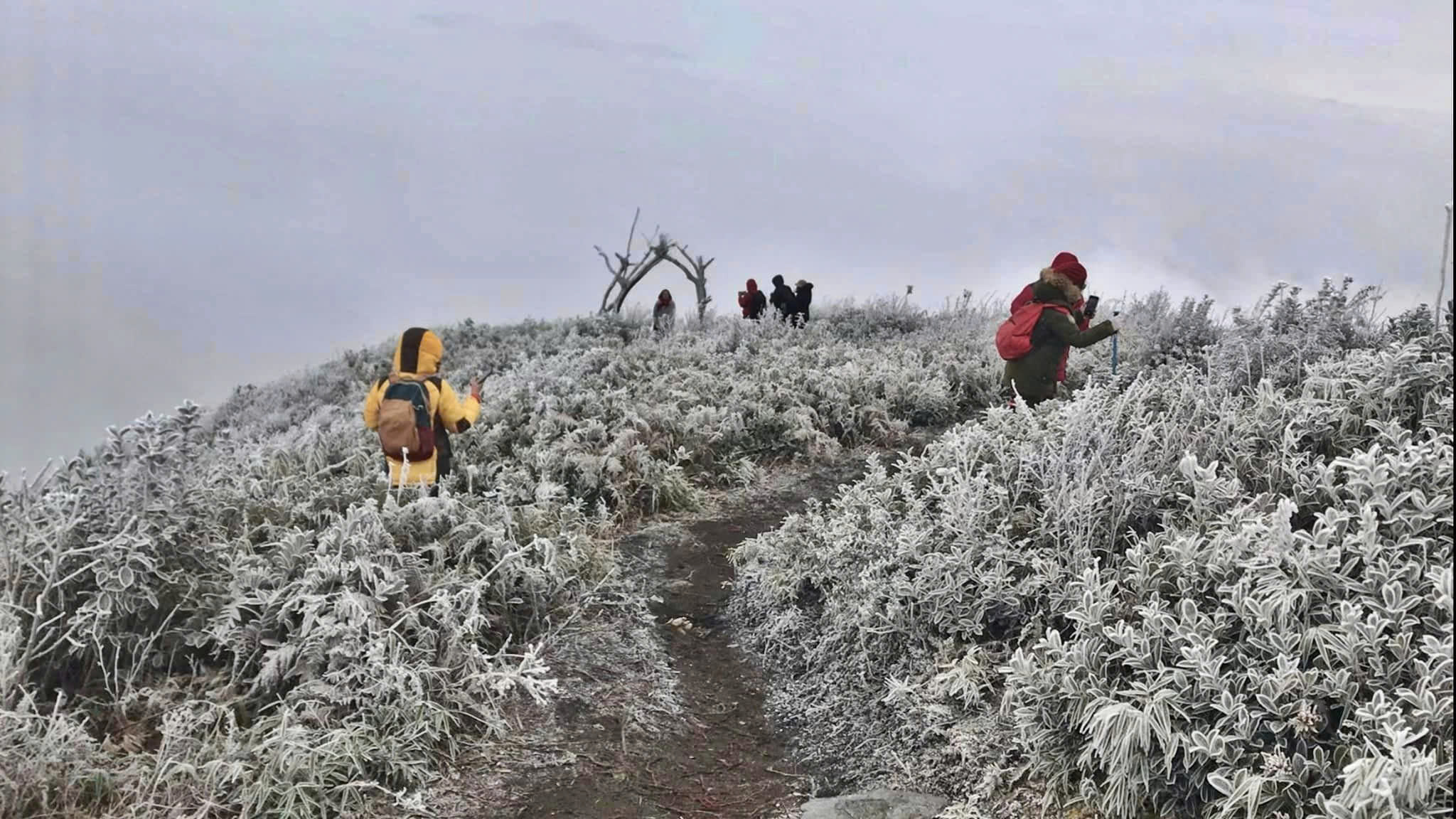 Leo núi - Trekking khám phá vẻ đẹp thiên nhiên giữa núi rừng Tây Bắc